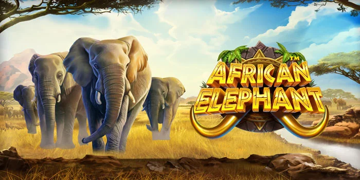 Bocoran-Tips-Meraih-Jackpot-Besar-di-Slot-African-Elephant